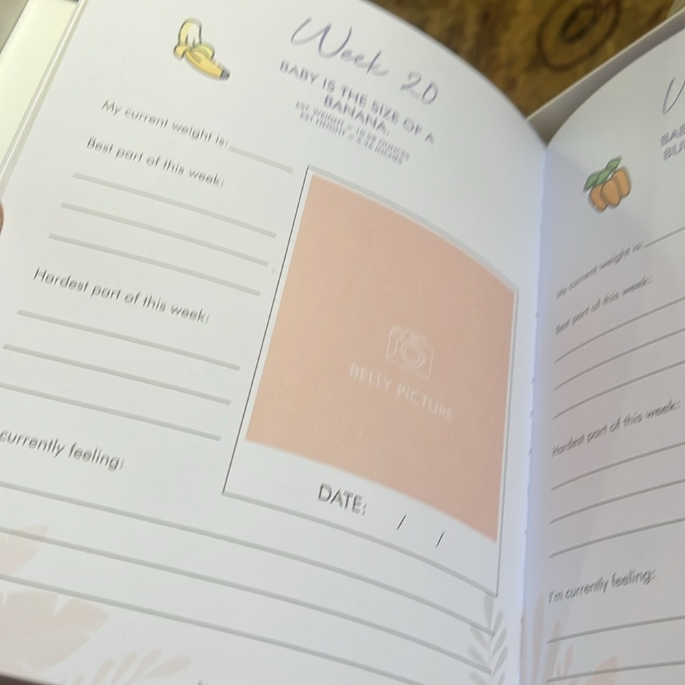 NWB. Gold Lettered Pregnancy Journal - Picture 2 of 8